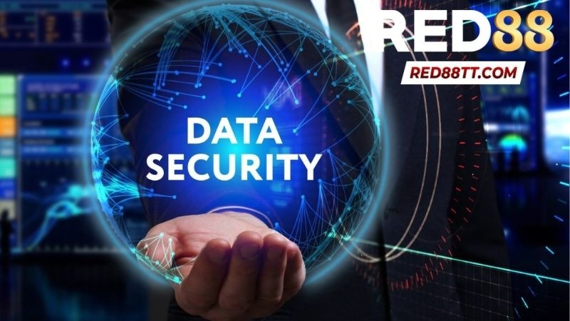 Điều Khoản Điều Kiện Tại Red88