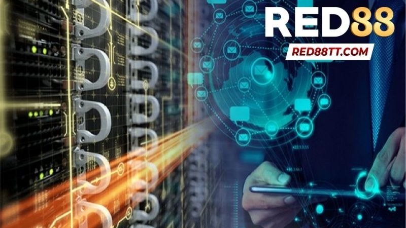 Điều Khoản Điều Kiện Tại Red88